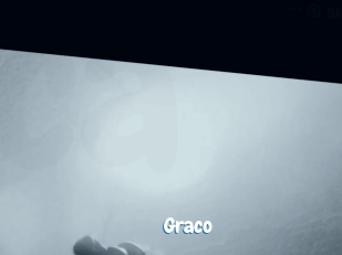graco Coquine Avenue