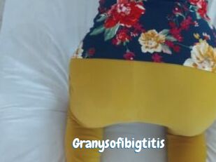 Granysofibigtitis