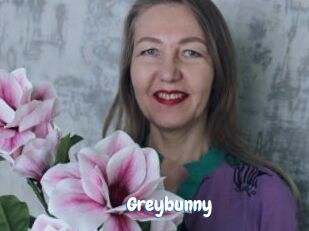 Greybunny