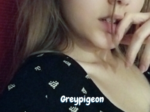 greypigeon Coquine Avenue