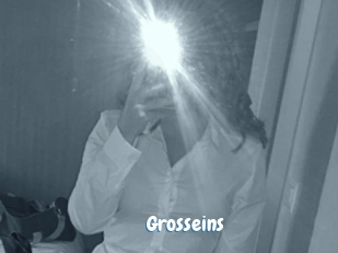 Grosseins