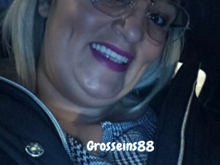 Grosseins88