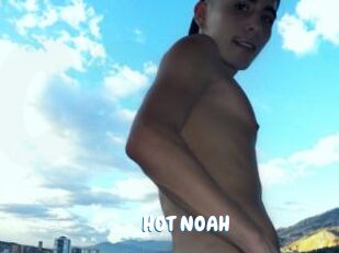 HOT_NOAH