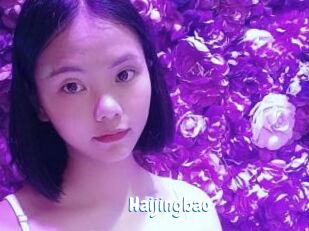Haijingbao