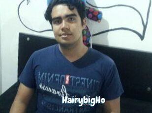 HairybigHo