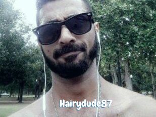 Hairydude87