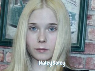 HaleyBoley