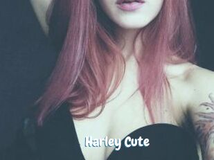 Harley_Cute