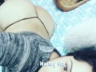 Harley_fox