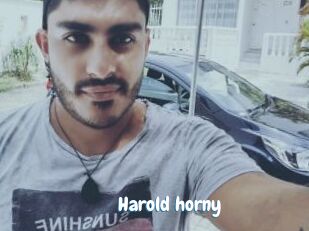 Harold_horny