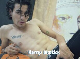 Harrys_bigstick