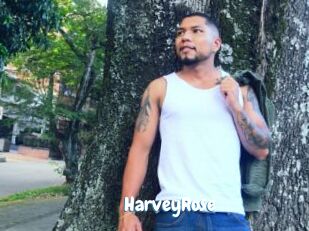 HarveyRose