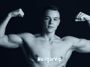 HeilgarVip