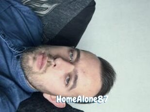 HomeAlone87