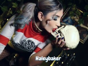 Haleybaker