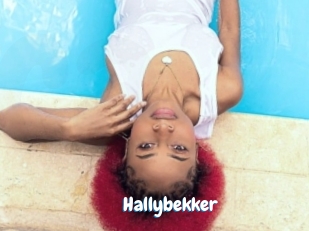 Hallybekker