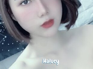 Halucy