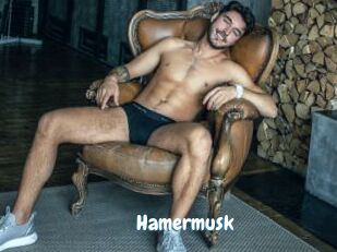Hamermusk