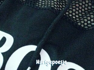 Harigepoesje