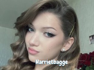 Harrietbagge