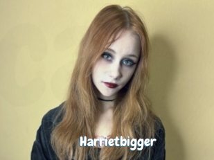 Harrietbigger
