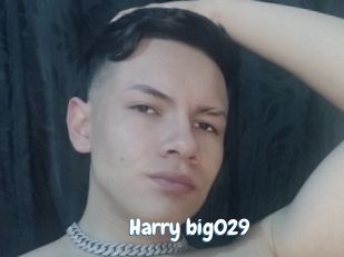 Harry_big029
