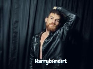 harrybsmdirt Coquine Avenue