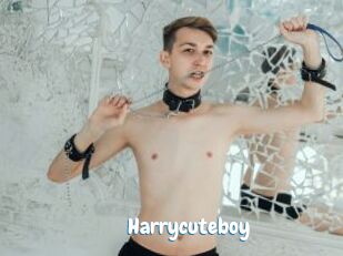 Harrycuteboy