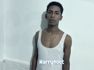 harryhoot Coquine Avenue