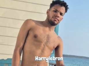 Harrylebron