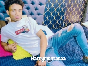 Harrymontanaa