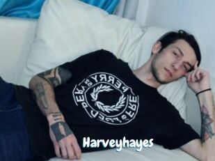 Harveyhayes