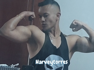 harveytorres Coquine Avenue