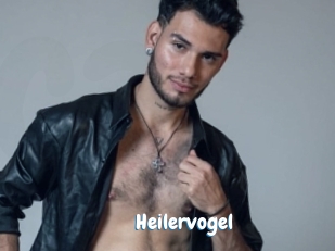 Heilervogel