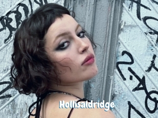 Hollisaldridge