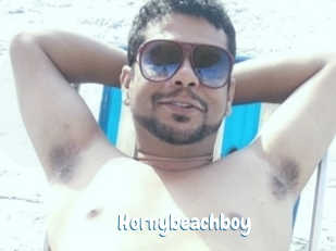 Hornybeachboy