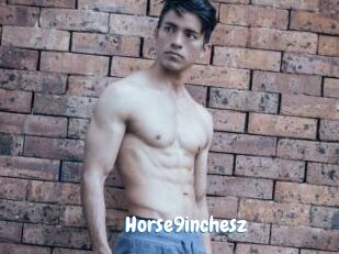 Horse9inchesz