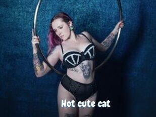 Hot_cute_cat