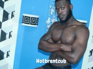 Hotbrentcub