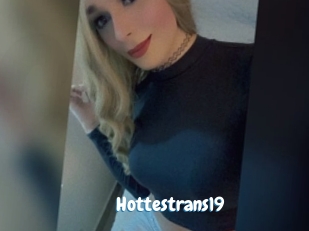 Hottestrans19