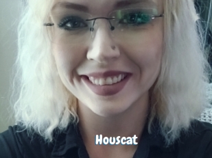 houscat Coquine Avenue