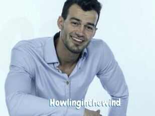 Howlinginthewind