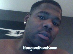 Hungandhandsome