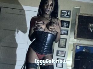 IggyGalorious