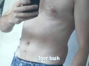 Igor_bash