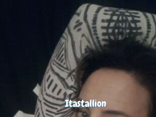 Itastallion