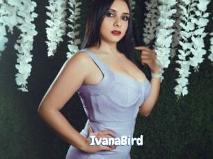 IvanaBird
