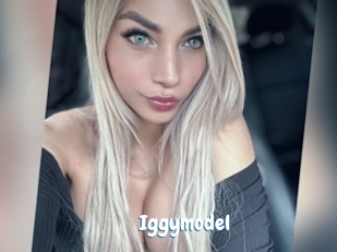 Iggymodel