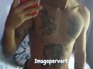 Imagopervert