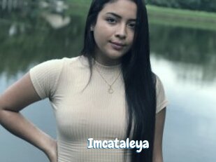 Imcataleya